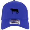 OTTO CAP® OTTO FLEX® Fitted 6 Panel Low Profile Baseball Cap Thumbnail