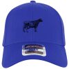 OTTO CAP® OTTO FLEX® Fitted 6 Panel Low Profile Baseball Cap Thumbnail