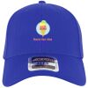 OTTO CAP® OTTO FLEX® Fitted 6 Panel Low Profile Baseball Cap Thumbnail